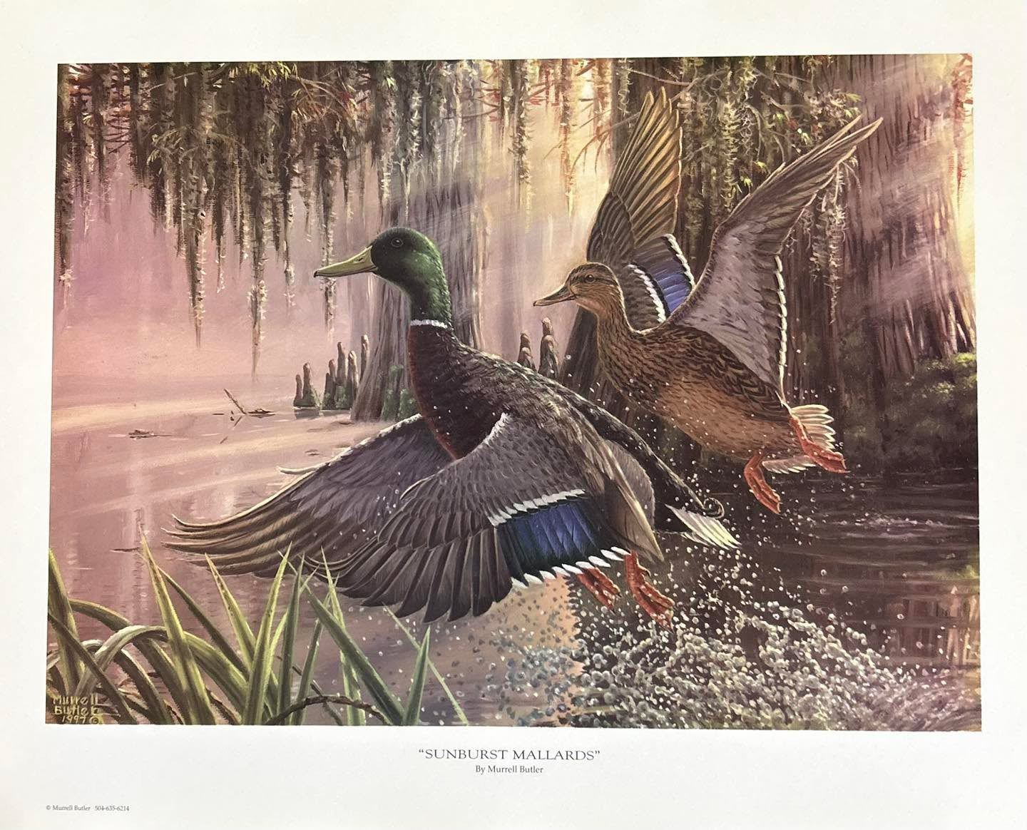 Sunburst Mallards
