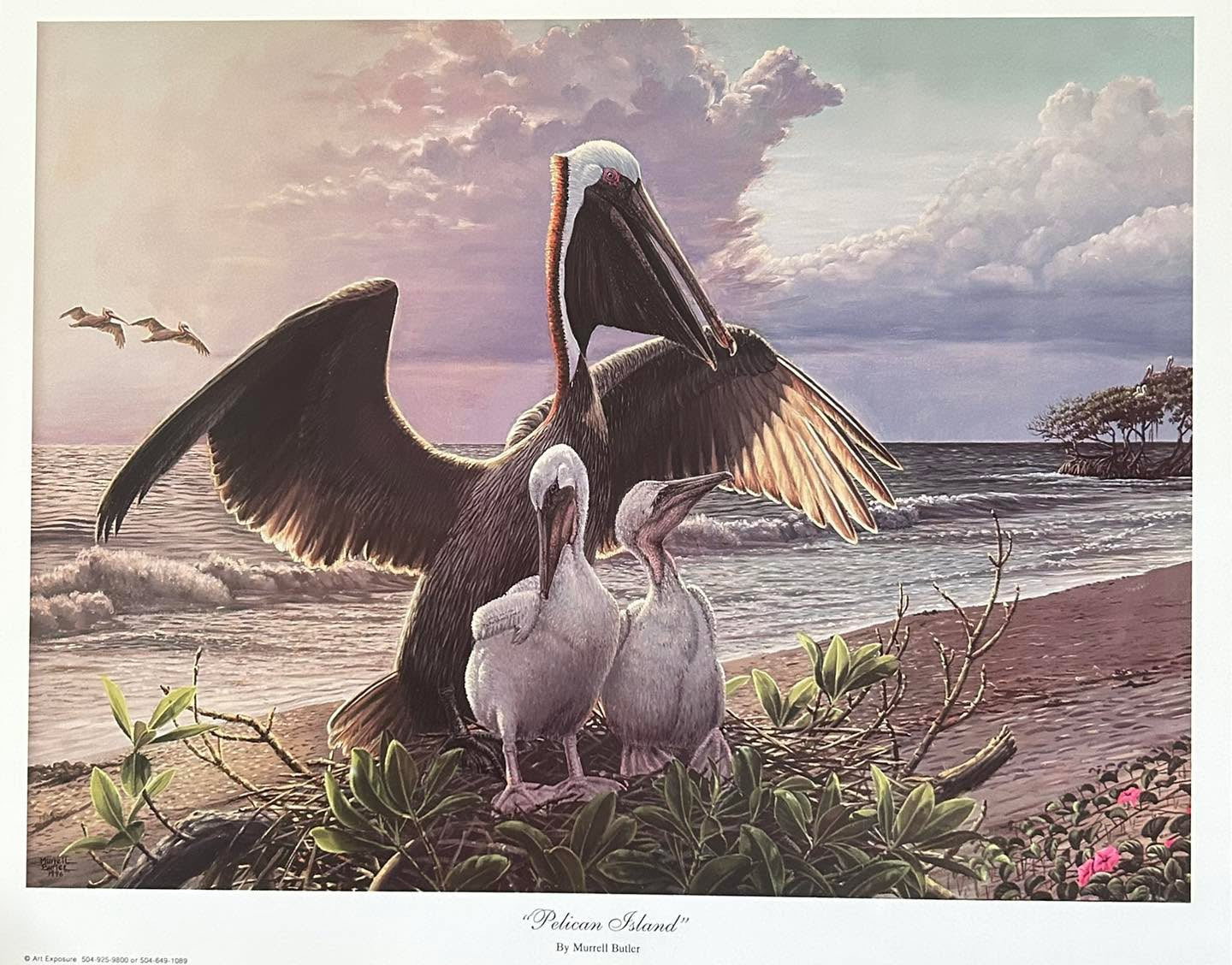 Pelican Island